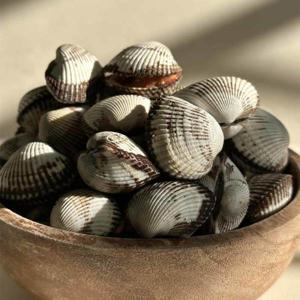 꼬막 벌교꼬막 새꼬막 제철 새꼬막 (소) 2.7kg 270미내외 // (수량한정) 특별 할인 / 물량소진 시 종료