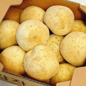 디저트바이블룸 감자빵 쫀득하고 촉촉한 영양간식10P