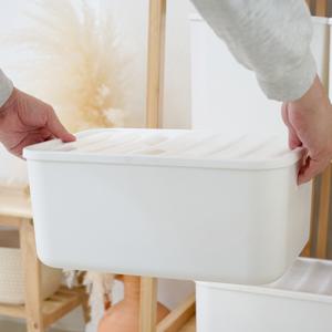 보노홈 리빙박스 M 2개 펜트리 수납 플라스틱 박스 팬트리 정리 속옷 양말 소품 다용도 보관함