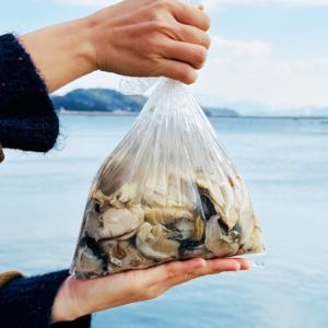 당일수확 싱싱하고 품질좋은 제철 생굴 1kg (실중량 800g / 2kg구매시 초장증정)