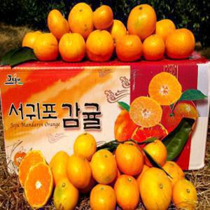 무조건당일발송 5일간 폭탄세일 조생 감귤 10kg중대과 (L-2L)