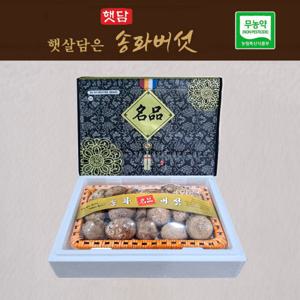 버섯선물세트 햇담송화버섯 VIP세트 최상급 1kg 농협에 납품하는 이천 무농약 송고버섯 농장 직접배송