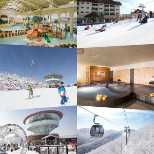 하이원리조트 리프트+장비렌탈/눈썰매장+카페/워터월드+케이블카/워터월드+눈썰매장 스키장 리프트권