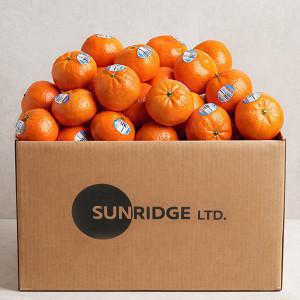 (신선집중) 미국 캘리포니아산 만다린 4kg 대용량 최신통관 고당도 탱고품종 (40과~55과)