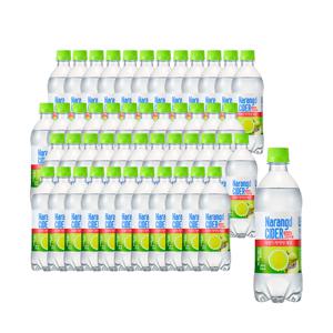 나랑드사이다 페트 그린애플 제로 500mlx24개 X 2