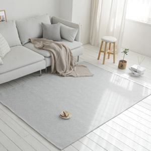 먼지없는 러그 거실 단모 그레이 사계절 카페트