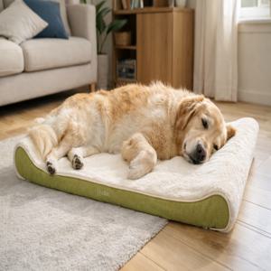 힐로우 척추침대 반려견 대형견 척추보호 관절부담 완화 베드 쿠션장난감담요 사은품