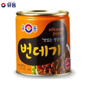 유동 번데기 280g 24개 무료배송