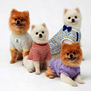 (봄옷특가_무배 균일가) 강아지옷 봄 티셔츠 블라우스 맨투맨 올인원 실내복 애견의류 S-XL +증정이벤트