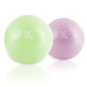 아리프 PVC 안티버스트 임산부 짐볼 55cm 요가 운동볼