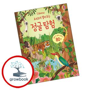 요리조리 열어 보는 정글 탐험 요리조리열어보는정글탐험 책