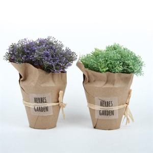 아트박스/하하홈 파슬리 종이 화분