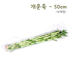 아트박스/에코키즈 개운죽 50cm-10p