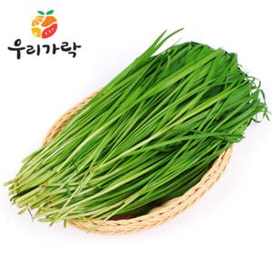 [우리가락]부추 1단