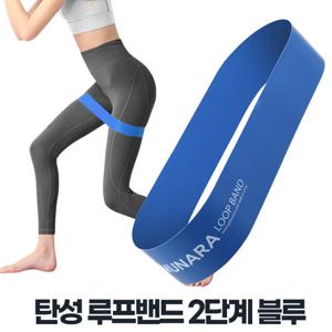 루프밴드 2단계 블루 스쿼트 운동 고무밴드 남자홈트