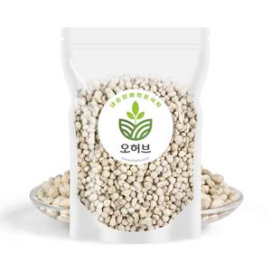 모링가 씨앗 모링가씨 250g