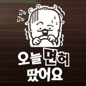 아트박스/제제데코 오늘 면허 땄어요_아리 [자동차스티커/초보운