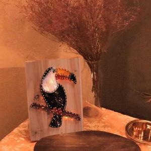 아트박스/72페이지 LED 큰부리새 스트링아트 만들기 패키지 DIY