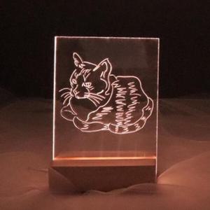 아트박스/72페이지 동물 아크릴 무드등 만들기 패키지 DIY