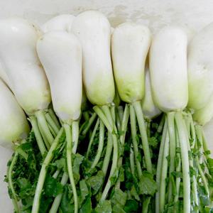 싱싱한 황토 세척 알타리무/초롱무 3kg(1.5단내외)