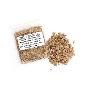 펫모닝 귀리씨앗 12g PMC 236
