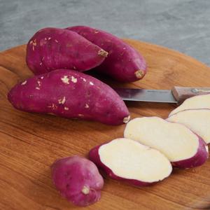 꿀밤고구마 5kg 한입