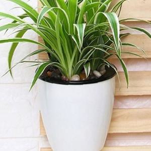 실내정원 자동급수 벽걸이 화분 / 저면관수 원형화분