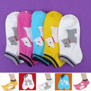 [빅토] 여자 발목양말(큰강아지)