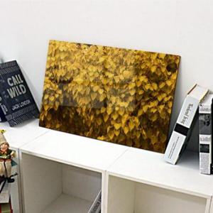 아트박스/꾸밈 ac411-아크릴액자_돈들어오는골드나뭇잎(대형)