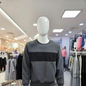 뱅뱅 세이브존06 가을 남성 빅사이즈 배색 자카드 맨투맨 티셔 BTK672