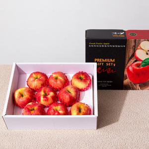 [미식한가] 정성가득 빨간사과 프리미엄 선물세트 3kg / 9-10과