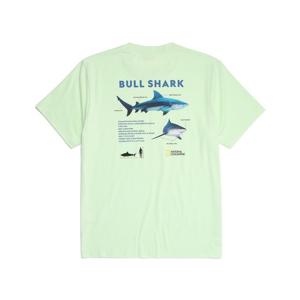 내셔널지오그래픽 N222UTS970 불 샤크 아트웍 반팔 티셔츠 GREEN