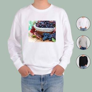 남자맨투맨 맨투맨 전색상 계절과일 포도 과일나무 GRAPE1
