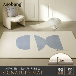 아소방 2P 시그니처 유아 놀이방매트 시에라 250(250x150x2cm)