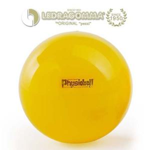 레드라곰마 짐네스틱 짐볼 피지오 105 대형짐볼