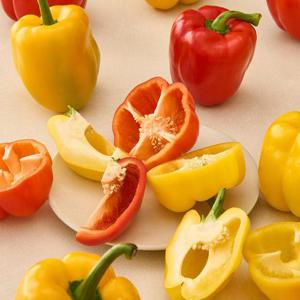품질보장 특상품 국내산 파프리카 1kg 피망 샐러드 채소 빨간 노란 파브리카 싱싱야채