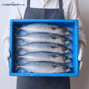 하이어하이 노르웨이 짭조름한 생선구이용 자반고등어 10마리 2.2kg (냉동)