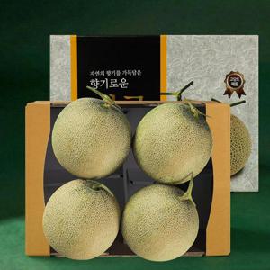 [오늘의과일] 국내산 메론 선물세트 4~6수 / 5kg 내외