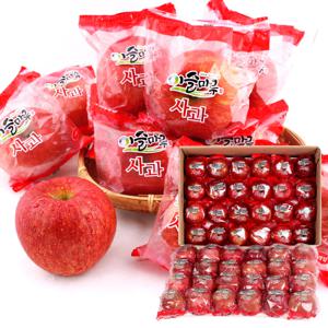 [이슬마루] 경북의성 세척사과 부사 10kg (48~53과)