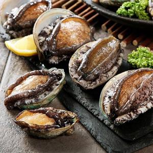 [올바른푸드 전복] 신선한 완도 활 꼬마전복1kg 40-50미