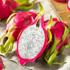 베트남 용과 5kg 8-10과 화이트 용과 드래곤후르츠 드래곤푸르츠 백용과 베