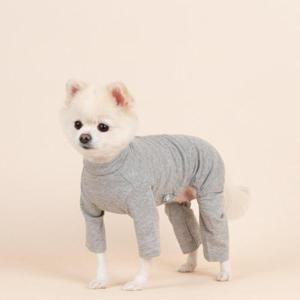 쫀쫀스판 강아지올인원 강아지옷 4color