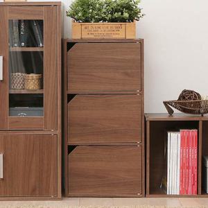 아이리스 3단 도어형 책장 수납장 MDB-3D