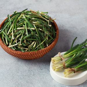 [오늘의채소 부추] 국내산 노지 초벌부추 500g