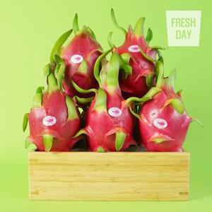 이색 열대과일 드래곤후르츠 용과 특품 9입~10입