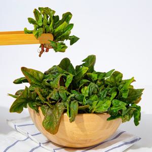 [더조은] 전남무안 노지 시금치 4kg