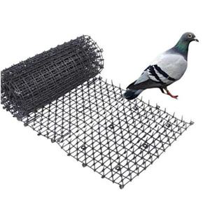 [WINE&QOK]와인앤쿡실외기 비둘기 퇴치망 버드 스파이크