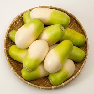 초록초록팜 세척 제주 월동무 3kg 내외 (2-3개) 제주산 국산무 손질 겨울무 바로조리 제철 제주 무우