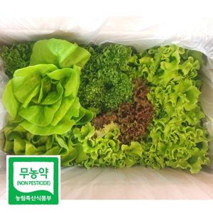 친환경 무농약 유럽 샐러드 채소 모듬 쌈 야채 깨끗한 수경재배 600g