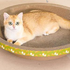 [시스터즈] 캣 라운드 발톱갈이 원형 고양이 스크래처